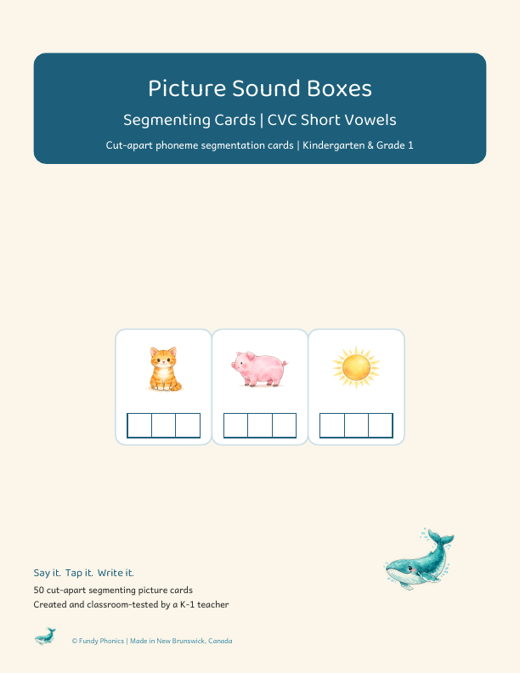 Cover of the digraphs segmenting picture cards set